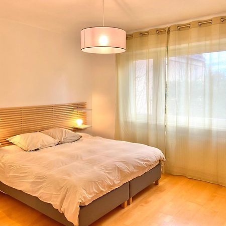 Appart 2Parkings, 2Min Petitevenise-Xmarche Colmar Exterior foto